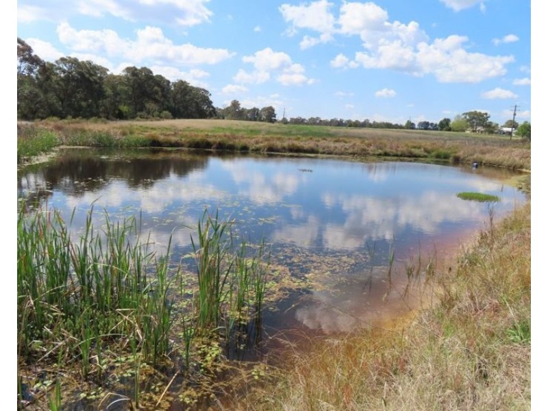 208 Thulimbah School Road, Cottonvale QLD 4375