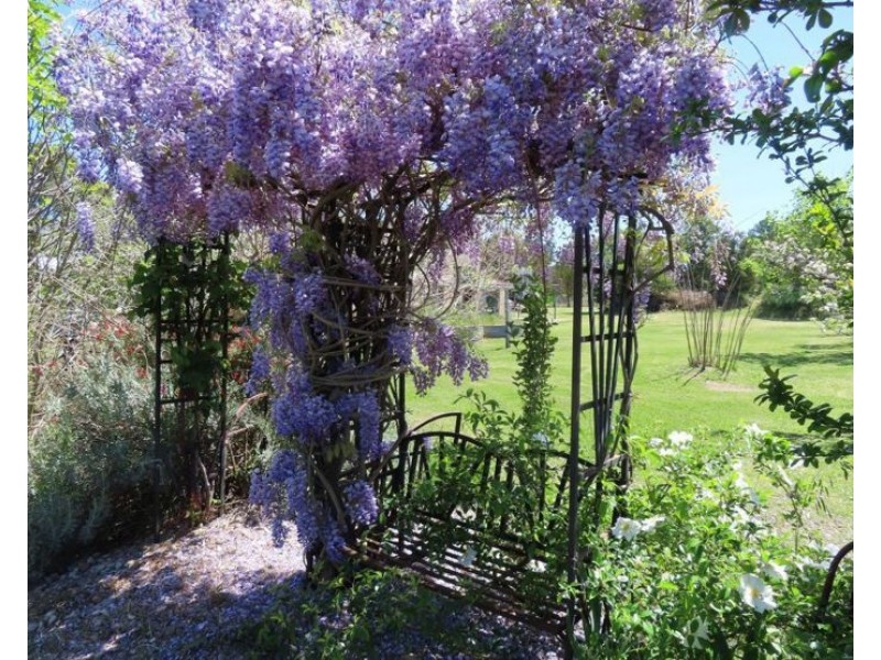 10 Munson Lane, Thulimbah QLD 4376