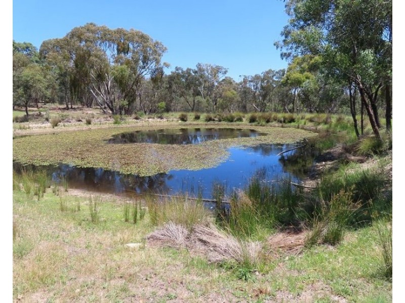 Bents Road, Ballandean QLD 4382