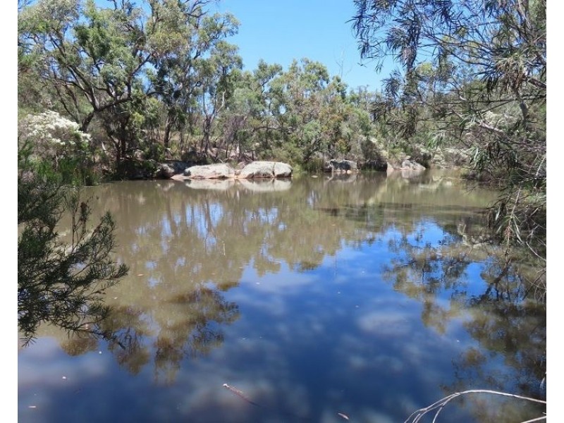 Bents Road, Ballandean QLD 4382