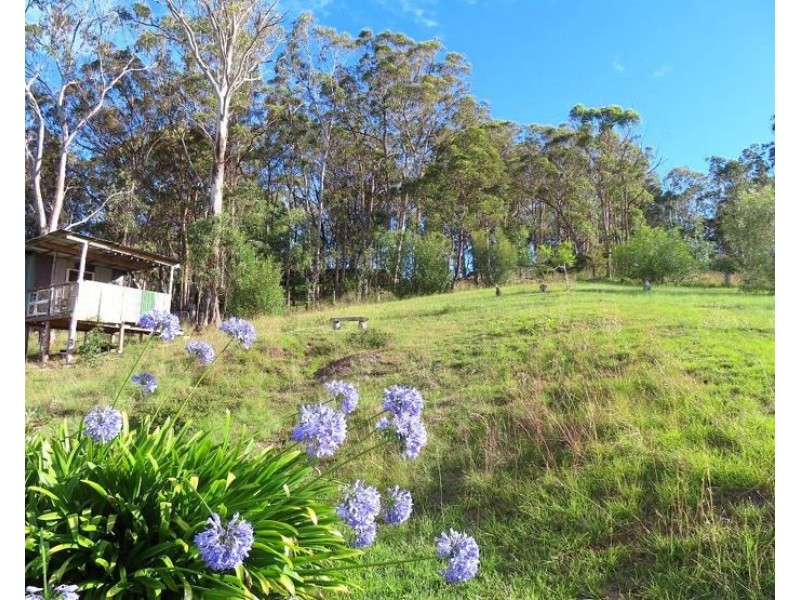 1215 Rivertree Road, Stanthorpe QLD 4380