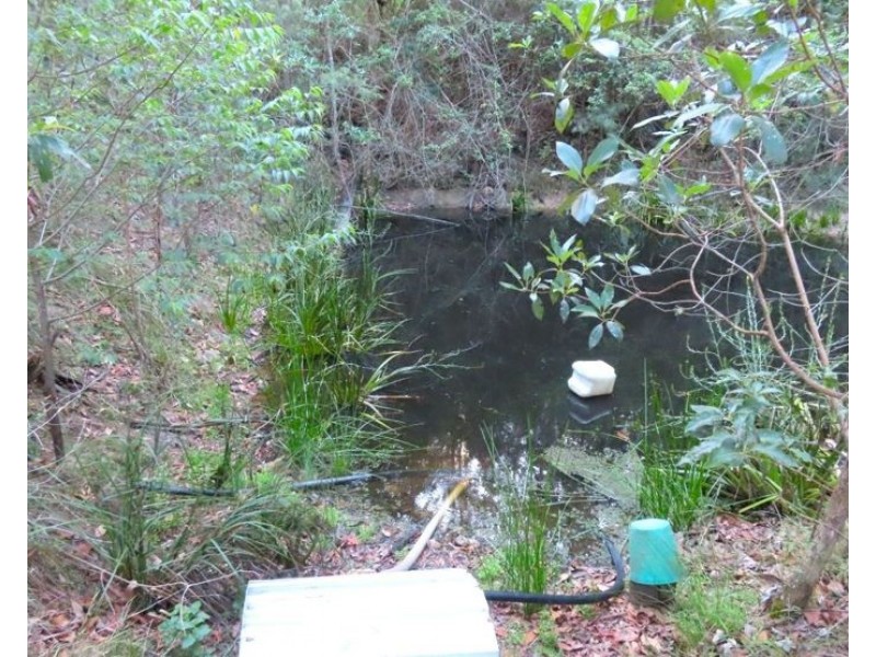 1215 Rivertree Road, Stanthorpe QLD 4380