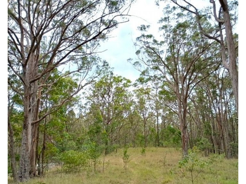 1215 Rivertree Road, Stanthorpe QLD 4380