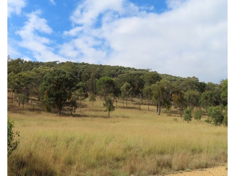 Lot 13 Saxby Road, Ballandean QLD 4382