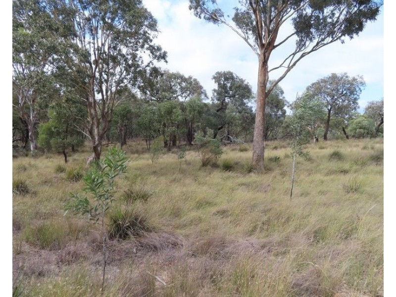 Lot 13 Saxby Road, Ballandean QLD 4382