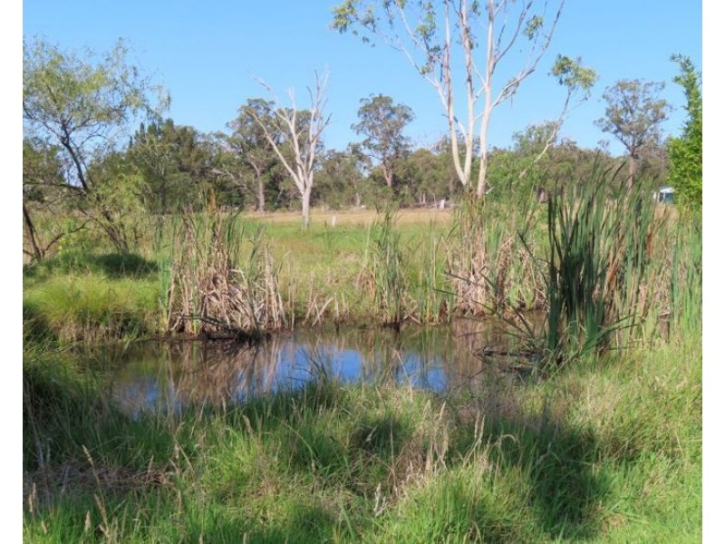 98 McKechnie Road, Stanthorpe QLD 4380