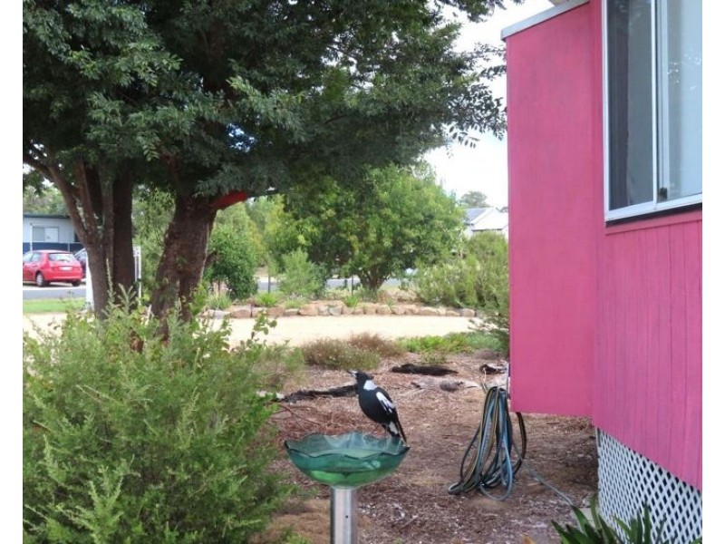 46 Tenterfield Street, Wallangarra QLD 4383