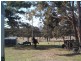 9 Neville Lane, Stanthorpe QLD 4380