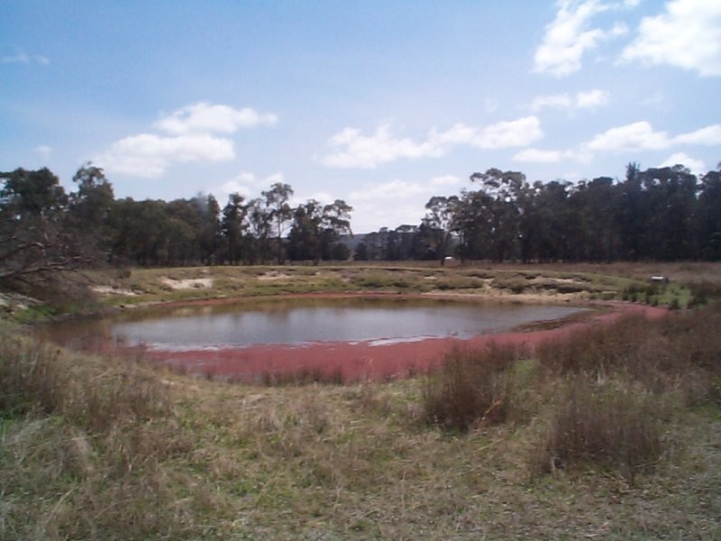 Stanthorpe QLD 4380