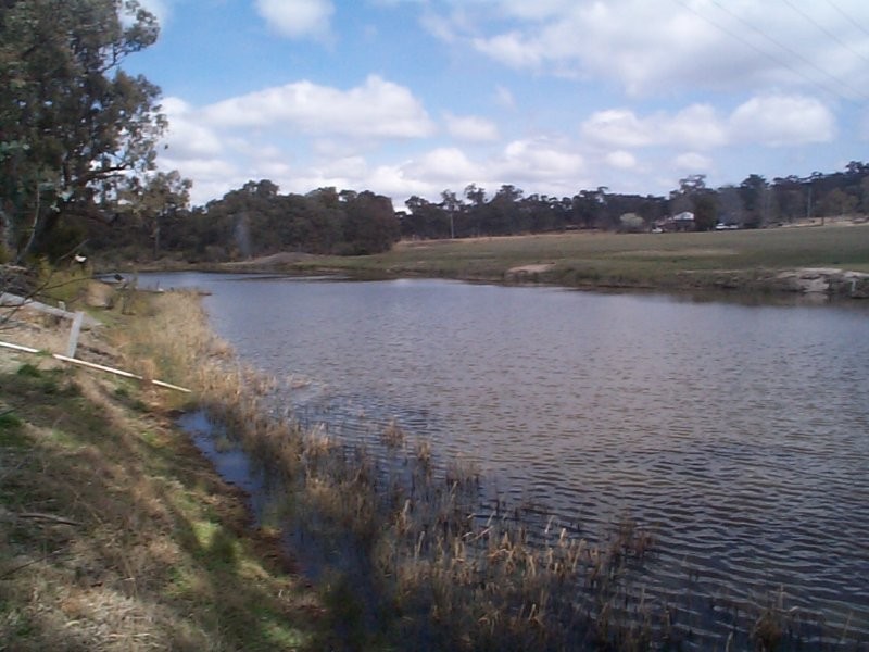 Stanthorpe QLD 4380