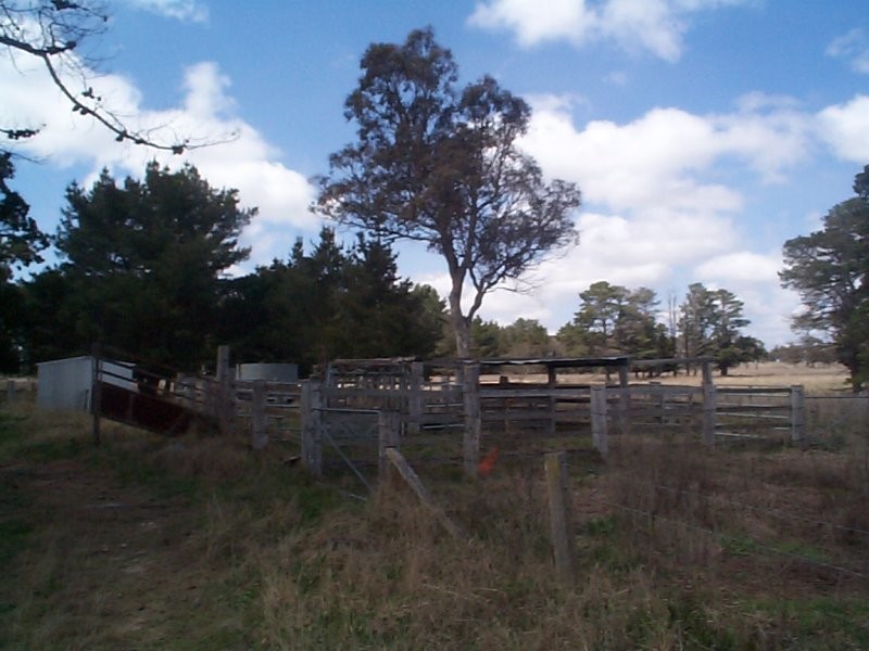 Stanthorpe QLD 4380