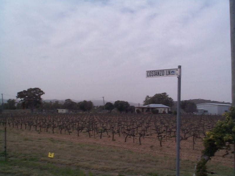 147  Ricca Road, Ballandean QLD 4382