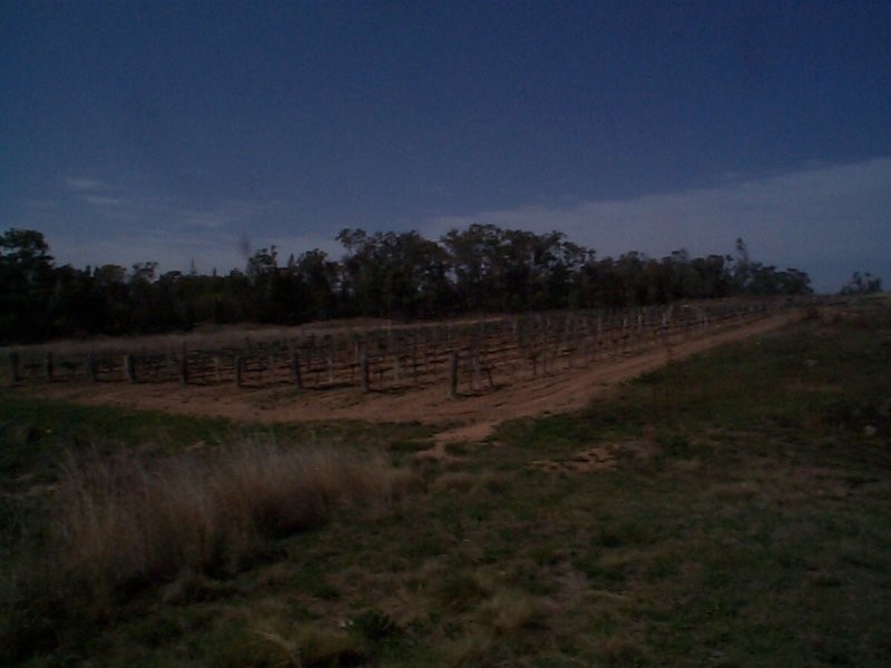 147  Ricca Road, Ballandean QLD 4382