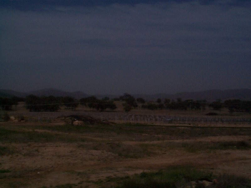 147  Ricca Road, Ballandean QLD 4382