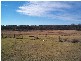 Stanthorpe QLD 4380