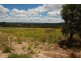 Severnlea QLD 4352