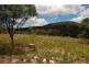 Severnlea QLD 4352