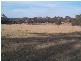 Dalveen QLD 4374