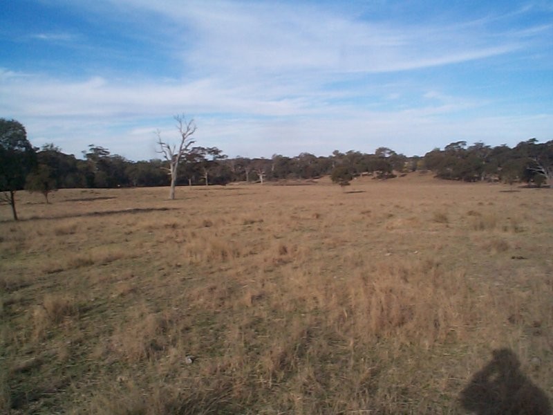 Dalveen QLD 4374