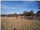 Dalveen QLD 4374