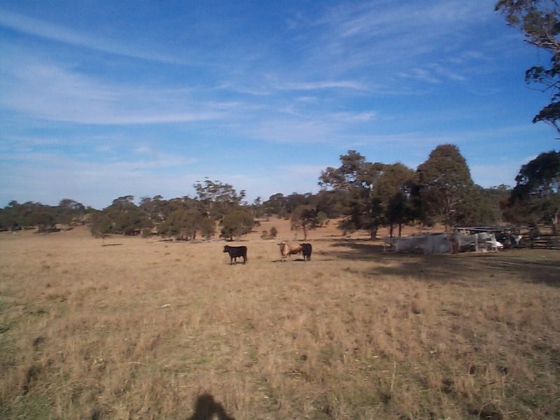 Dalveen QLD 4374