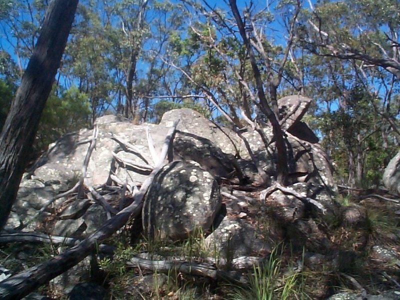 113 Pegum Road, Applethorpe QLD 4378