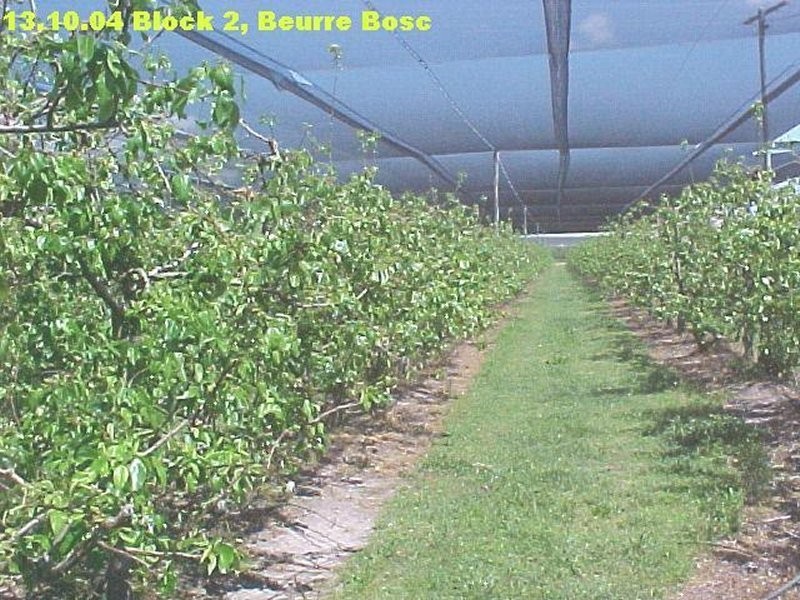 1 Newlands Road, Cottonvale QLD 4375