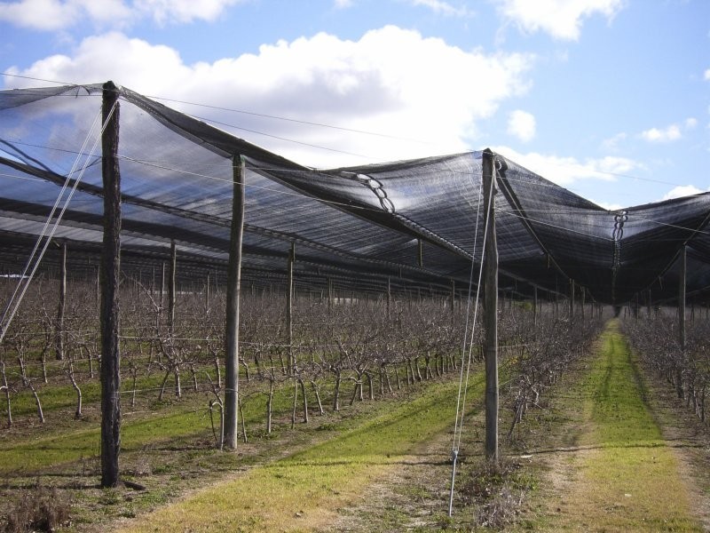 1 Newlands Road, Cottonvale QLD 4375