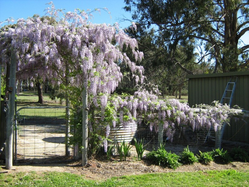 541 Nielsens Road, Stanthorpe QLD 4380