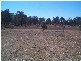 Stanthorpe QLD 4380