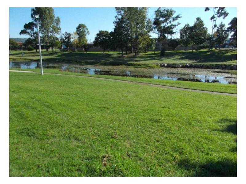 6 Bridge Street, Stanthorpe QLD 4380