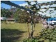 2 Francis Street, Stanthorpe QLD 4380