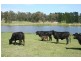 Stanthorpe QLD 4380