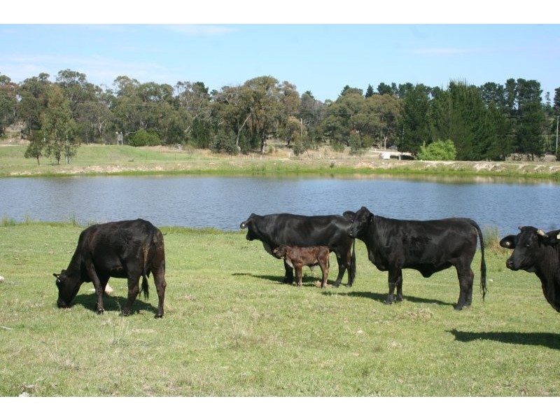 Stanthorpe QLD 4380