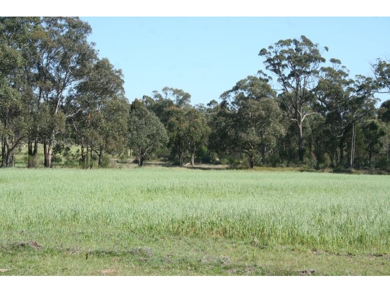 Stanthorpe QLD 4380