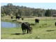 Stanthorpe QLD 4380