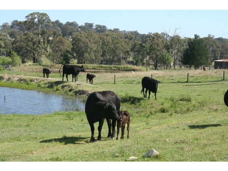 Stanthorpe QLD 4380