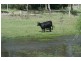 Stanthorpe QLD 4380