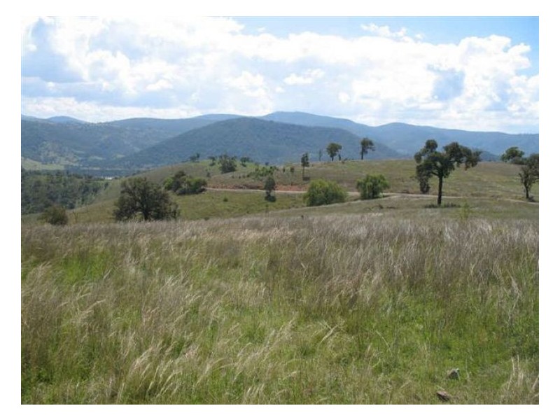 235 Silent Grove Road, Stanthorpe QLD 4380