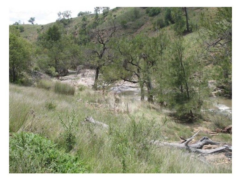 235 Silent Grove Road, Stanthorpe QLD 4380