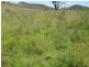 235 Silent Grove Road, Stanthorpe QLD 4380