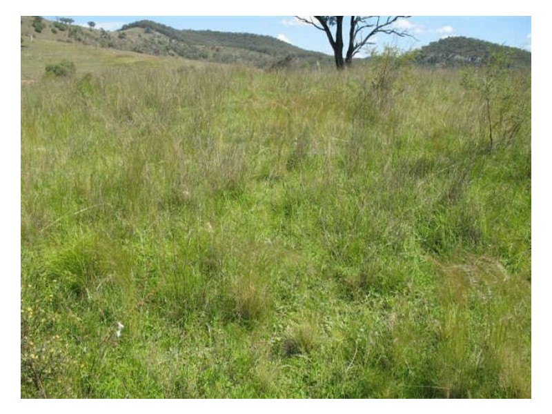 235 Silent Grove Road, Stanthorpe QLD 4380
