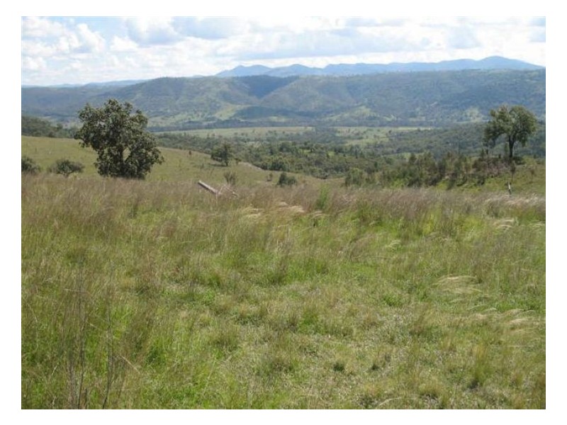 235 Silent Grove Road, Stanthorpe QLD 4380