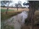 Dalveen QLD 4374