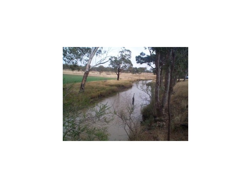 Dalveen QLD 4374