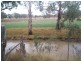 Dalveen QLD 4374
