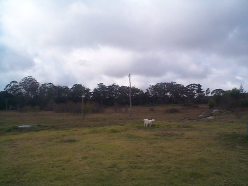 Dalveen QLD 4374