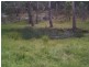 Stanthorpe QLD 4380