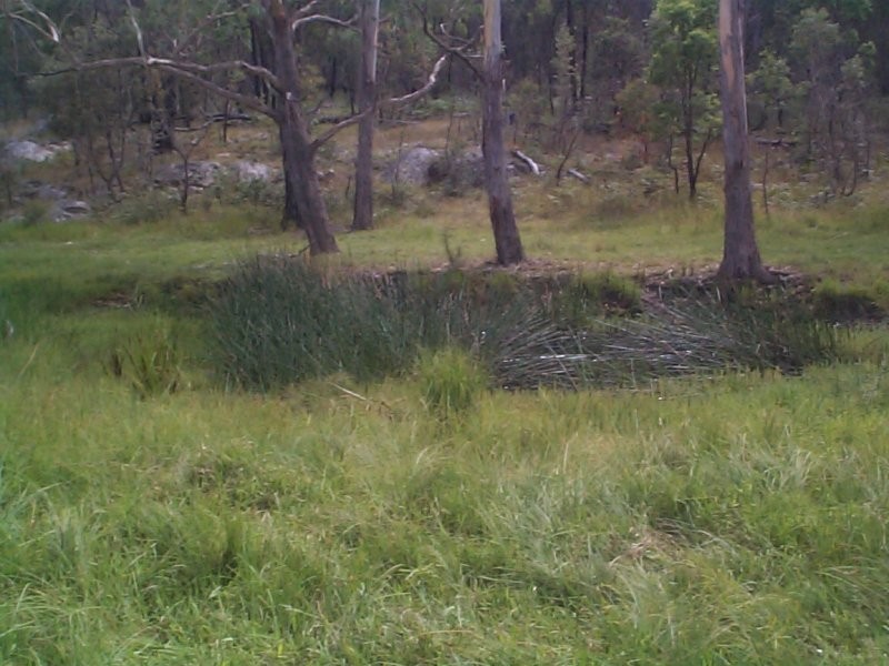 Stanthorpe QLD 4380