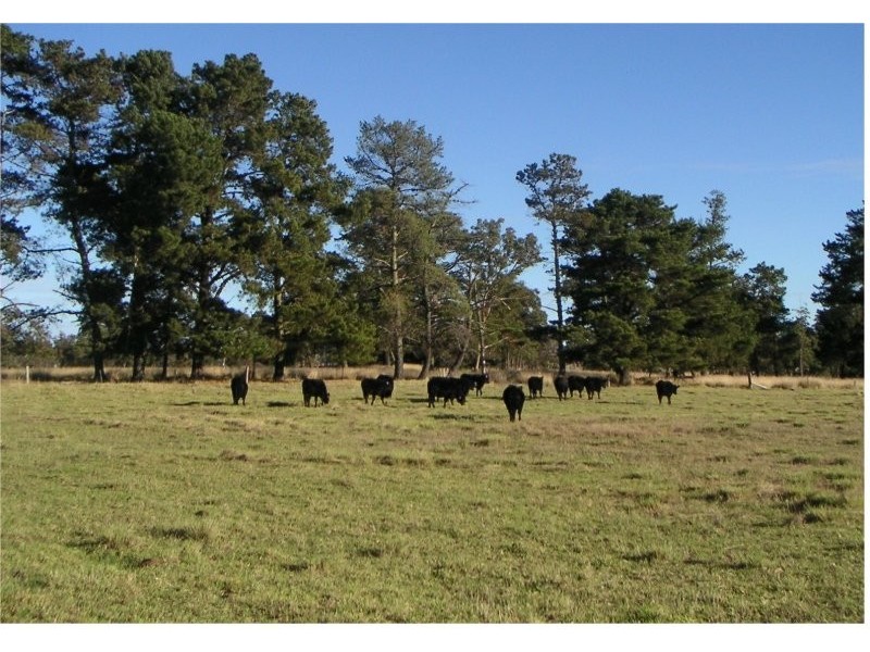 680 Mt Tully Road, Stanthorpe QLD 4380